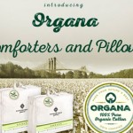 Organa Comforters and Pillows