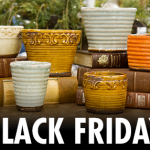 Black Friday at Laurie’s