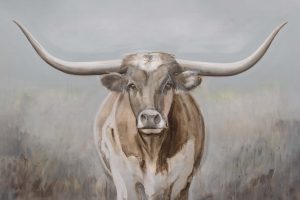 Texas Longhorn