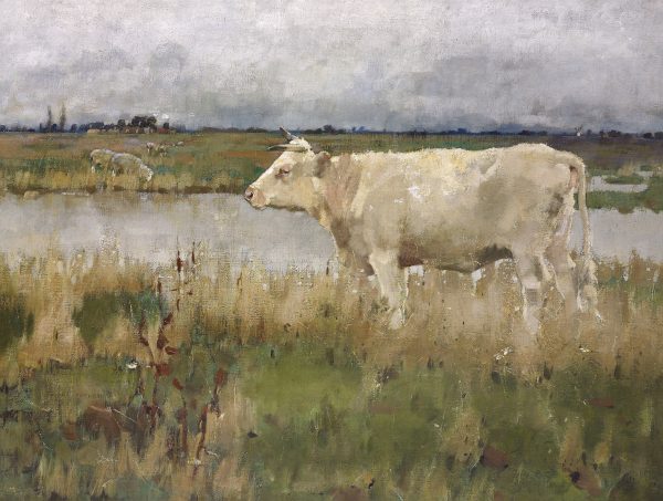 A Lincolnshire Pasture