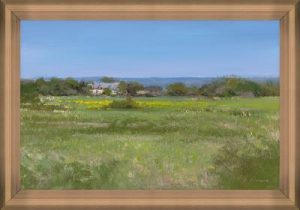 Ferme de Dolan, Marais de Séné (GF)