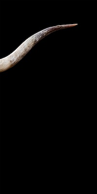 The Texan Triptych III (IBG)